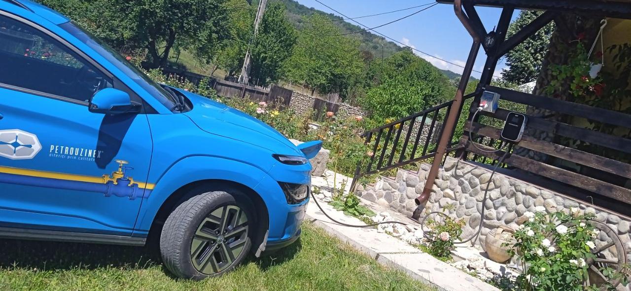 Pensiunea Gradinarilor Cu Ciubar Si Statie De Incarcare Electrica Auto Comanesti  Eksteriør bilde